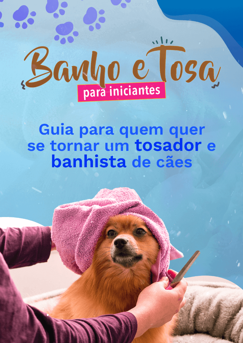Banho e Tosa para Iniciantes