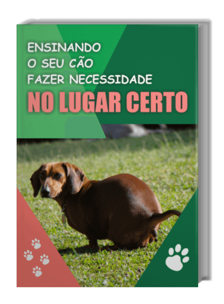 ebook bonus ensinando seu cao fazer necessidades lugar certo
