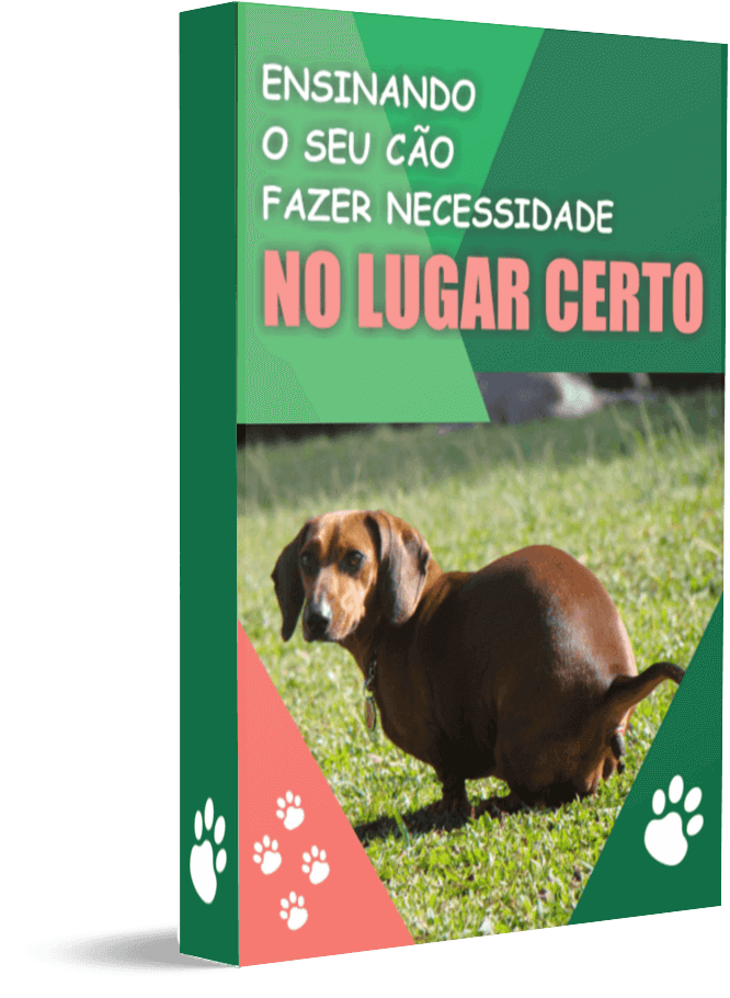Capa do ebook Ensinando seu cao fazer necessidade no lugar certo