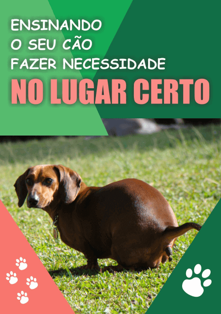 Ensinando o Seu Cão Fazer Necessidade no Lugar Certo