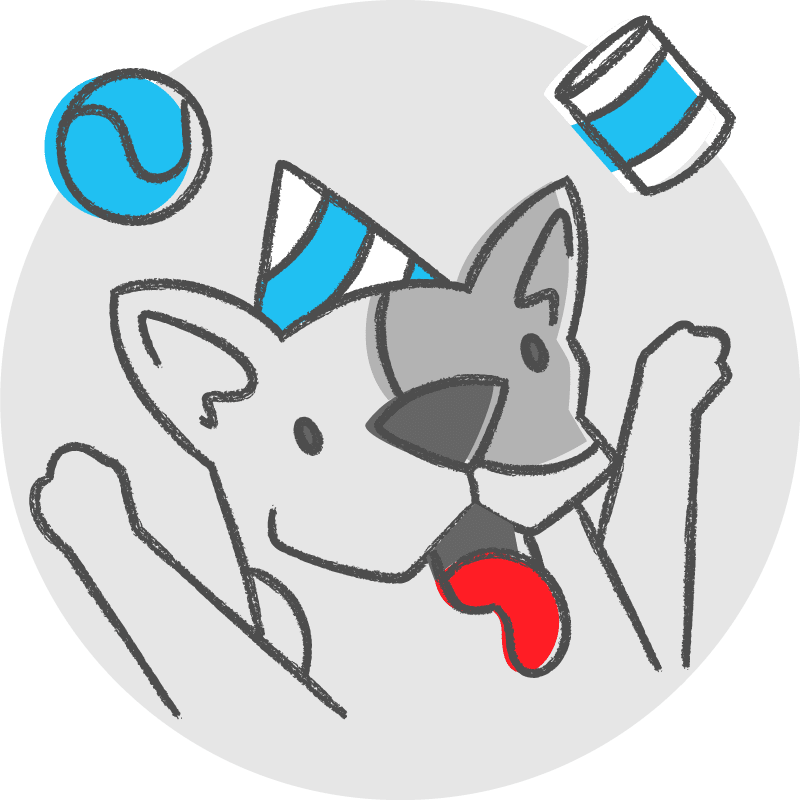 cão brincando com uma bola e uma lata
