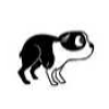 cão com gesto aflito