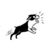cão com gesto bravo